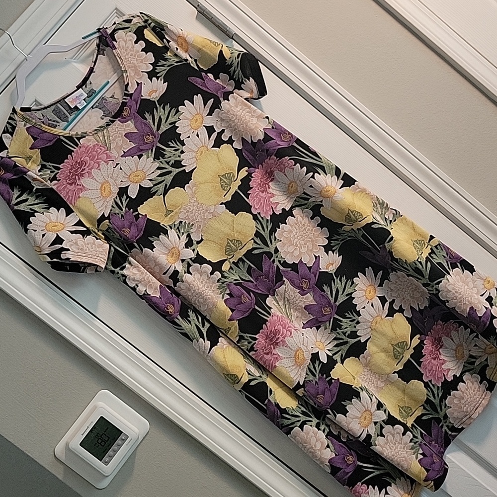 Lularoe Swing Jessie Dress, size XL